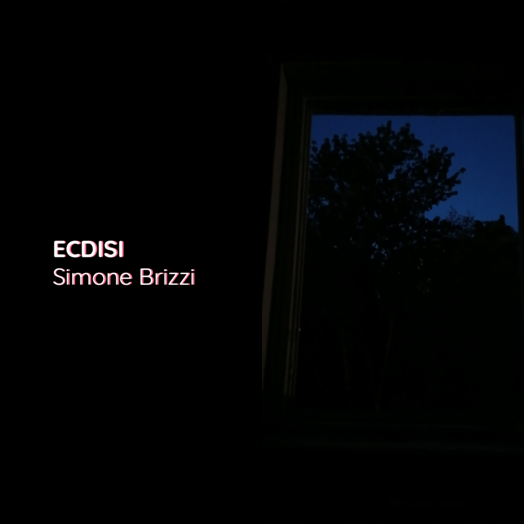 ECDISI Simone Brizzi